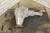 2013-2018 RAM 1500 RAM Classic 3.92 Ratio Front Used OEM Front Differential Carriers used OEM front differential carrier