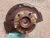 2002-2006 Nissan Altima 1091885 Front Right/Passenger Used OEM Steering Knuckle Spindle