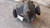 2019-2023 Chevy Camaro Rear Carrier 6.2L LT1 Used OEM Rear Differential Carriers used OEM rear differential carrier assembly