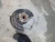 2022-2025 Nissan Pathfinder 2142784 Front Left/Driver Used OEM Steering Knuckle Spindle