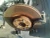 Nissan Maxima Front Right/Passenger Used OEM Steering Knuckle Spindle