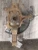 2007-2012 Nissan Sentra 1938448 Front Left/Driver Used OEM Steering Knuckle Spindle