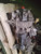 2013-2017 13 14 15 16 17 18 19 20 21 Dodge Pickup 1500 Carrier/Differential Used OEM Differentials & Carriers used OEM