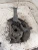 2011-2025 Nissan Leaf 4205080 Front Right/Passenger Used OEM Steering Knuckle Spindle