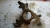 Pontiac Bonneville Front Left/Driver ABS Used OEM Steering Knuckle Spindle