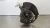 Porsche 911 Front Right/Passenger AWD Used OEM Steering Knuckle Spindle
