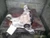 2021 Sierra Silverado 1500 Front Carrier 3.23 Ratio Used OEM Front Differential Carriers used OEM front differential carrier