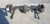 04 Chevy Ssr Rear Axle with 3.73 Ratio GT4 G80 Used OEM Differentials & Carriers used OEM differential carrier assembly