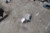 2019 Hyundai Veloster Limited Slip Diff Used OEM Differential Carrier Assembly used OEM differential carrier assembly