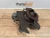 2002 Porsche Carrera Front Left/Driver With Hub Used OEM Steering Knuckle Spindle