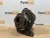 2002 Porsche Carrera Rear Left/Driver With Hub Used OEM Steering Knuckle Spindle