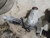 2021-2023 Front Carrier 3.23 Ratio 84829188 for Silverado 1500 2770515 Used OEM Front Differential Carriers used OEM front