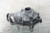 2011-2015 Carrier BMW X5 11 12 13 14 15 16 17 18 Used OEM Differentials & Carriers used OEM differential carrier assembly