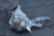 2016-2019 Carrier/Differential Mercedes Gle Class 16 17 18 19 Used OEM Differentials & Carriers used OEM differential carrier