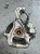 2009-2024 Ram 1500 Front Right/Passenger 2WD Used OEM Steering Knuckle Spindle