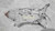 2011-2016 MINI Cooper Countryman Rear Carrier/Differential 6 Speed MT AWD Used OEM Rear Differential Carriers used OEM rear
