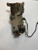 2009-2010 fits Volvo XC60 Rear 6520114590 Used OEM Rear Differential Carriers used OEM rear differential carrier assembly