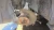 Saturn Aura Front Left/Driver Used OEM Steering Knuckle Spindle