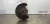 Subaru WRX STI Front Left/Driver Used OEM Steering Knuckle Spindle