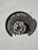2010 Subaru Outback Rear Left/Driver With Hub Used OEM Steering Knuckle Spindle