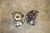 2010-2014 Subaru Outback Front Left & Right With Hub Used OEM Steering Knuckle Spindle
