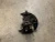 2020-2023 Subaru Outback Front Right/Passenger With Hub Used OEM Steering Knuckle Spindle