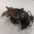 2020-2024 Subaru Legacy Front Right/Passenger With Hub Used OEM Steering Knuckle Spindle