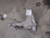 2023 Front Carrier 87821656 for Tahoe 2832781 Used OEM Front Differential Carriers used OEM front differential carrier