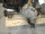 2014 GMC Yukon Xl 1500 Front Axle 3.08 Used OEM Differential Carrier Assembly used OEM front differential carrier assembly