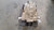 2022-2023 Kia Stinger, 2.5L Rear Carrier Differential , Pn: 53000-47031 Used OEM Rear Differential Carriers used OEM rear
