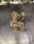 2002 Toyota Tacoma Front Left/Driver 2WD Used OEM Steering Knuckle Spindle