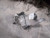 2024 Rear Carrier for Escalade Esv 3029270 Used OEM Rear Differential Carriers used OEM rear differential carrier assembly