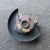 1998-2002 Toyota Corolla Front Right/Passenger Used OEM Steering Knuckle Spindle