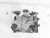 2021 Acura Tlx Type-S Rear Differential Carrier Case 41200-59H-000 Used OEM Rear Differential Carriers used OEM rear