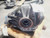 2020-2024 BMW M5 X5M X6M F95 F96 Rear Axle Used OEM Rear Differential Carriers used OEM rear differential carrier assembly