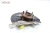 2021-2024 Toyota Venza Front Left/Driver AWD With Hub Used OEM Steering Knuckle Spindle