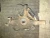 2004-2005 Toyota RAV4 Front Left/Driver ABS Used OEM Steering Knuckle Spindle