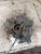 2016-2020 Toyota Yaris 4251506 Front Left/Driver Used OEM Steering Knuckle Spindle