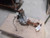 2020-2024 Front Carrier 3.42 Ratio 85656404 for Silverado 2500 2965652 Used OEM Front Differential Carriers used OEM front