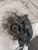 2019-2025 Toyota Corolla 4219924 Front Left/Driver Used OEM Steering Knuckle Spindle