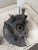 2018-2025 Toyota Camry 4213690 Front Left/Driver Used OEM Steering Knuckle Spindle