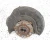 2012-2019 Volkswagen Beetle Front Right/Passenger With Hub Used OEM Steering Knuckle Spindle