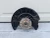 2018-2024 Volkswagen Tiguan Front Left/Driver With Hub With Bearing Used OEM Steering Knuckle Spindle