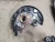 2015-2021 Volkswagen GTI 1970656 Front Right/Passenger Used OEM Steering Knuckle Spindle