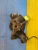 2018-2023 Volkswagen 3QF407255E Front Left/Driver Used OEM Steering Knuckle Spindle
