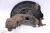 Volkswagen Eos 1082922 Front Right/Passenger Used OEM Steering Knuckle Spindle