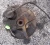 1998-2005 Volkswagen Golf Left/Driver With Hub Used OEM Steering Knuckle Spindle