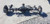 19 Nissan Titan Xd Pro-4X Rear Axle Carrier Differential 5.0L Diesel Used OEM Rear Differential Carriers used OEM rear
