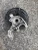 Volkswagen Tiguan 5QF505435 Rear Left/Driver With Hub Used OEM Steering Knuckle Spindle