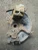 2009 Volkswagen Jetta Front Right/Passenger Used OEM Steering Knuckle Spindle